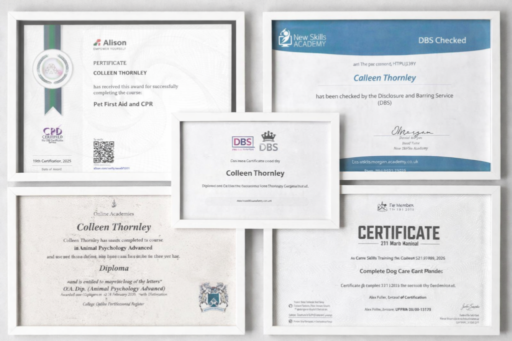 colleen certificates